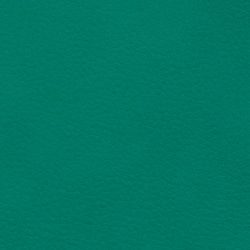 Farbe 1 - dark green