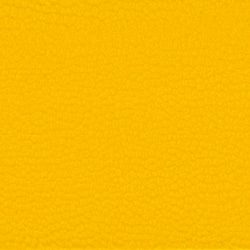 Farbe 4 - yellow